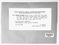 Image Associated With the Occurence
